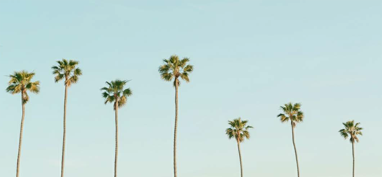 Intrepid Fiber Networks Announces Expansion into California